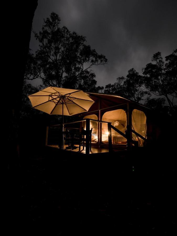 Wild Nature Lodge, Mareeba Wetlands Biboohra Exterior foto