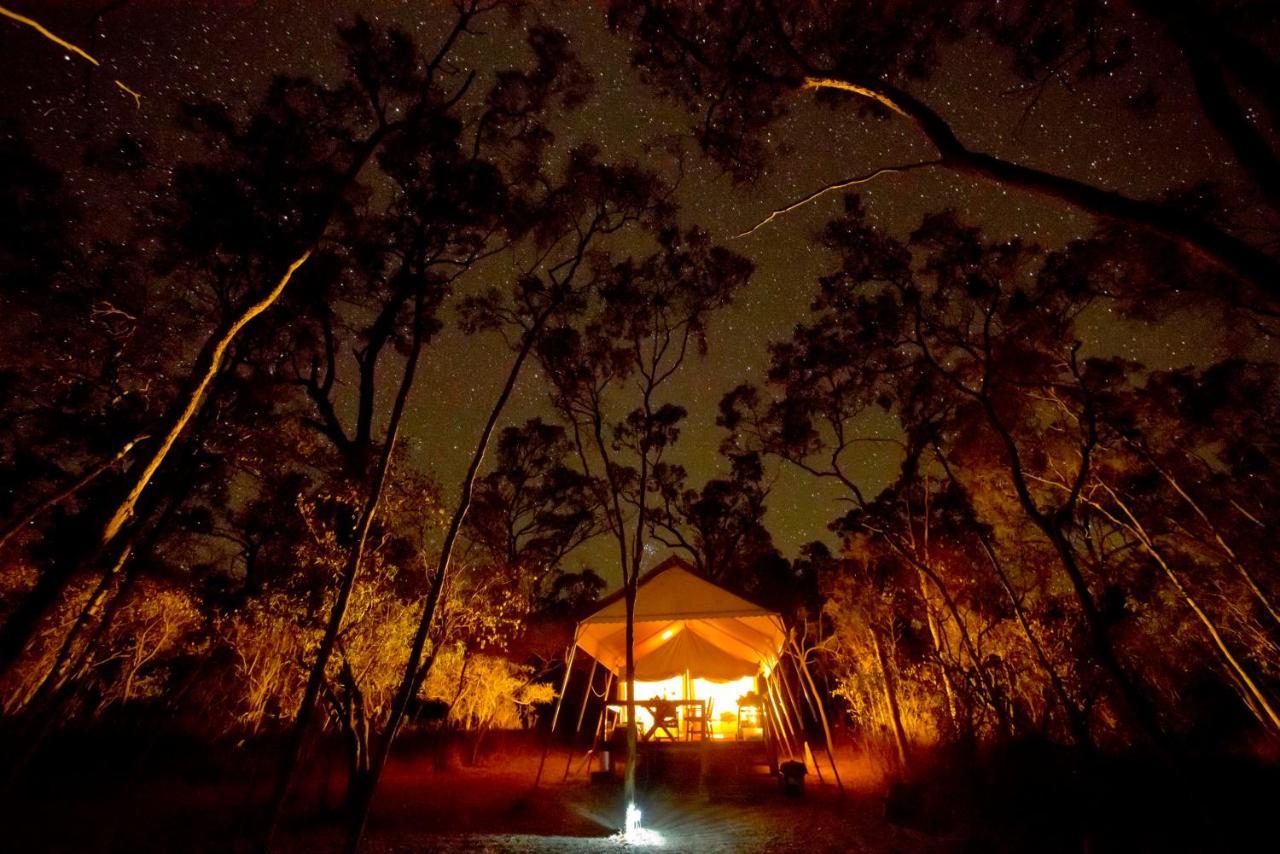 Wild Nature Lodge, Mareeba Wetlands Biboohra Exterior foto