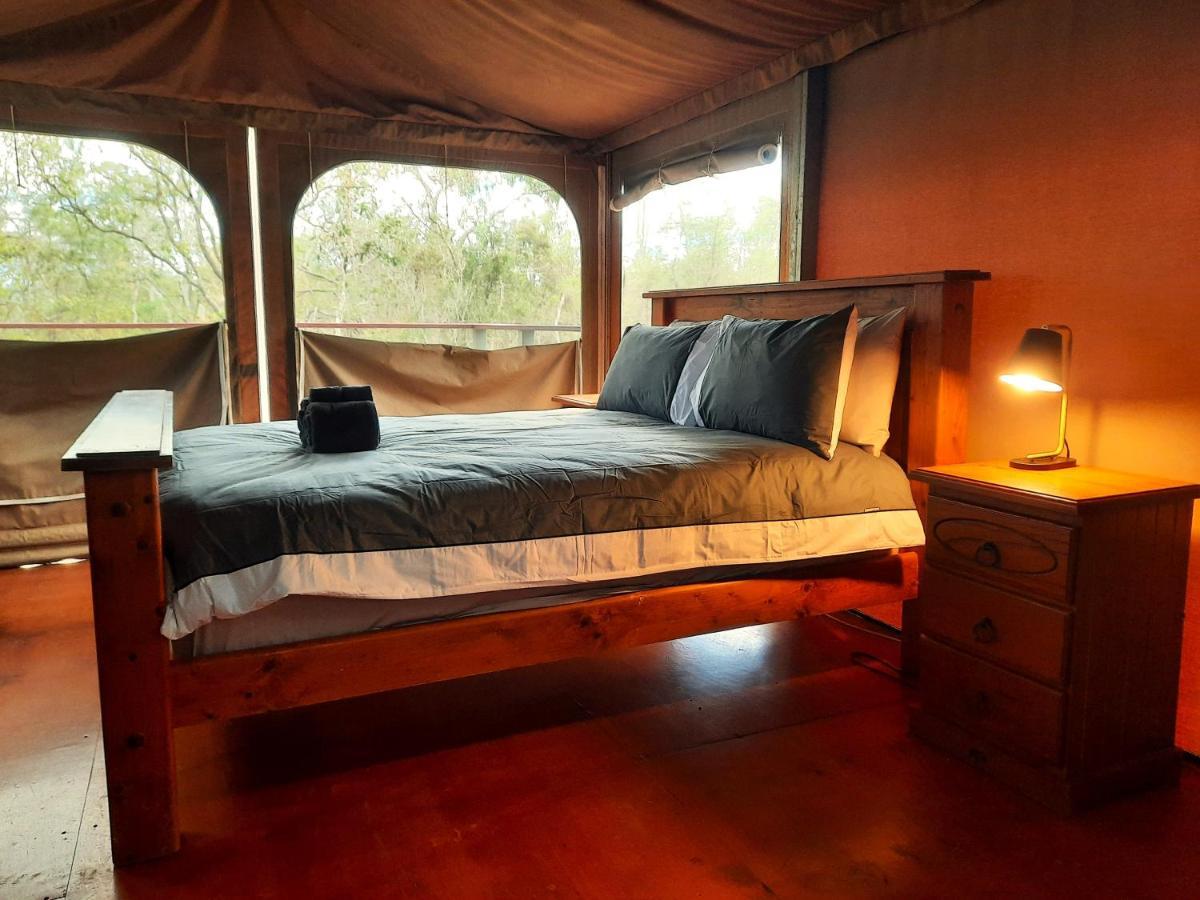 Wild Nature Lodge, Mareeba Wetlands Biboohra Exterior foto