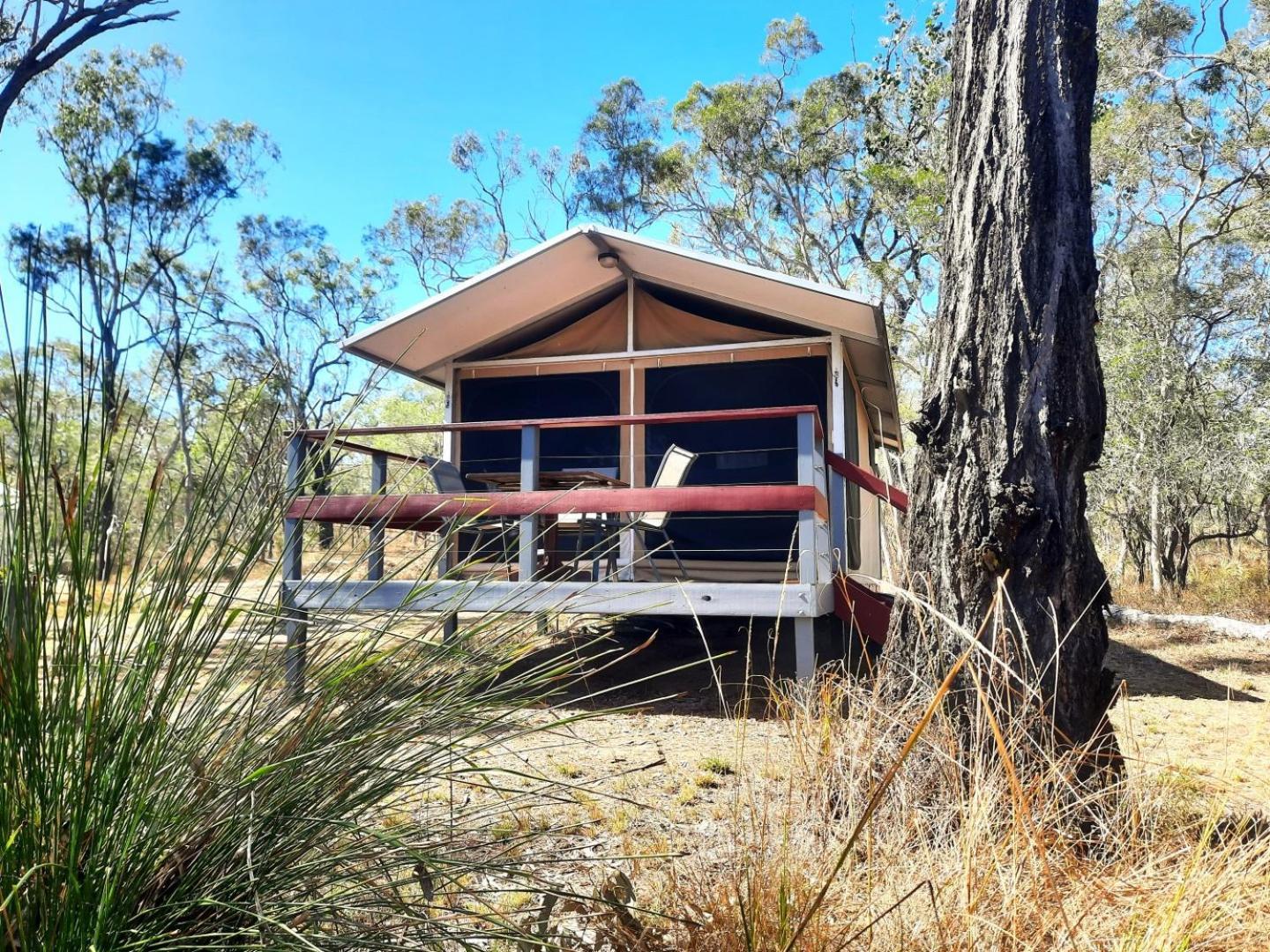 Wild Nature Lodge, Mareeba Wetlands Biboohra Exterior foto
