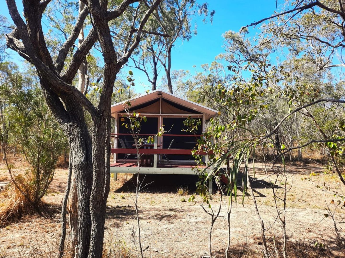 Wild Nature Lodge, Mareeba Wetlands Biboohra Exterior foto