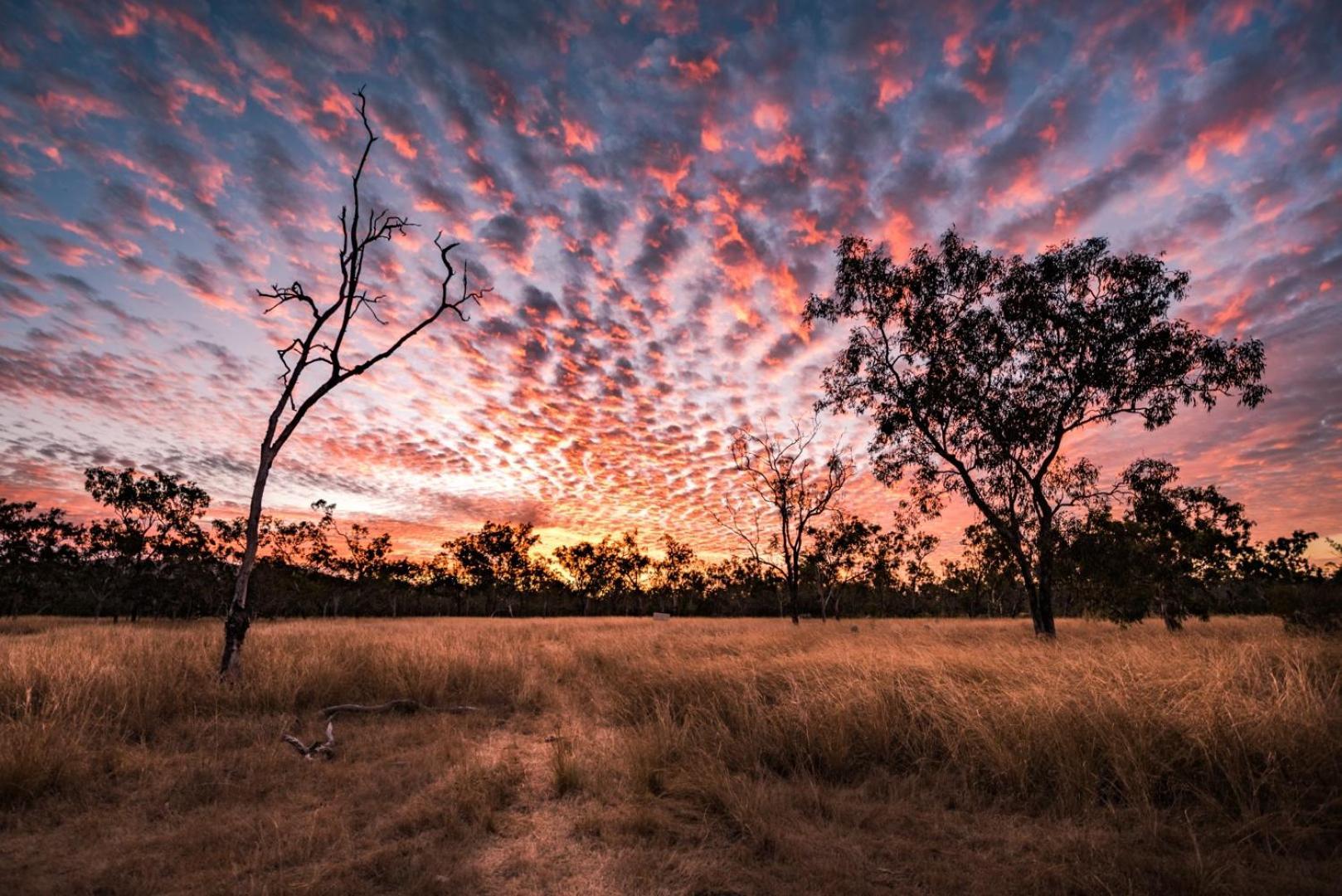 Wild Nature Lodge, Mareeba Wetlands Biboohra Exterior foto